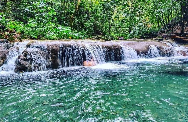 Dunn's River Falls & Luminous Lagoon Guided Tour with Admission from Falmouth