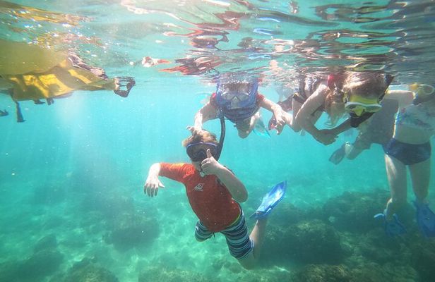 Coral Reef Snorkel Adventure with Photos and Videos