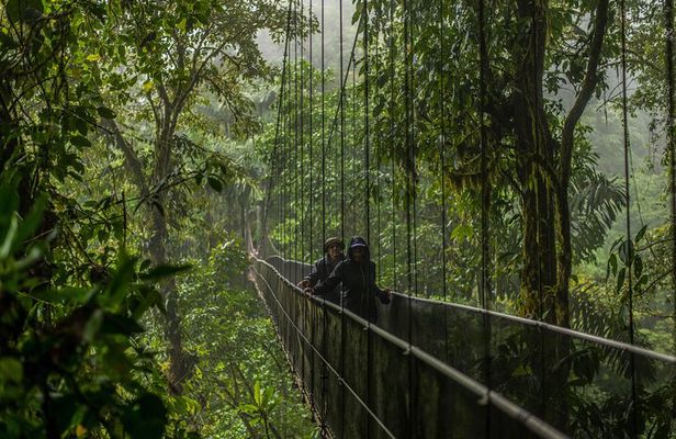 Arenal City Pass® Volcano, Waterfall, Bridges (SelfGuide)