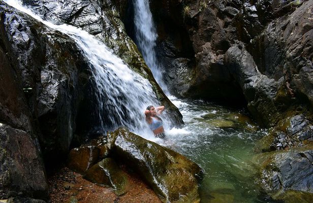 Pance Waterfalls: Hike to discover the biodiversity of the valley