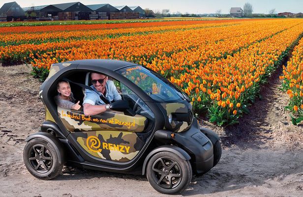 Tulip Fields Tour near Keukenhof - Self-drive with Audio Guide