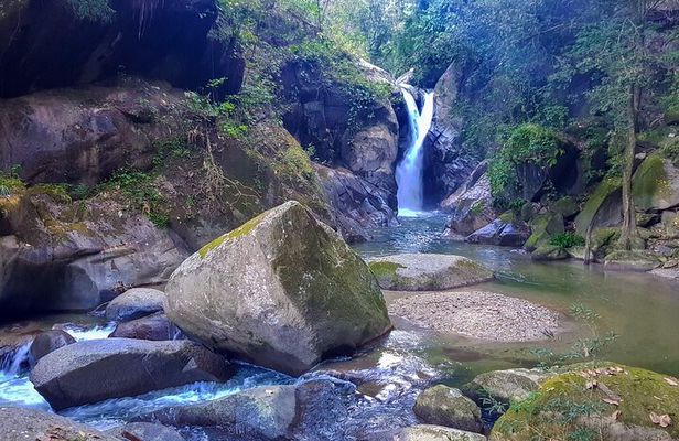 Full-Day Hiking Tour in Minca with coffee & Cocoa Workshop