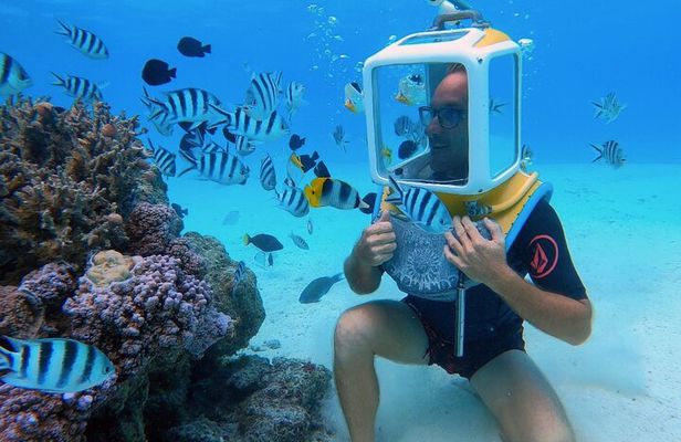 Private Tour: Aqua Safari Scuba Diving