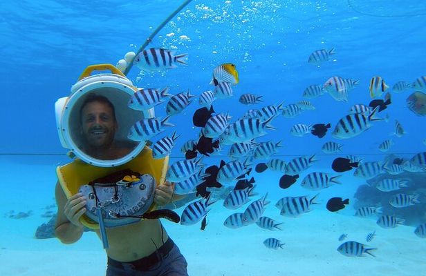Aqua Safari Introductory Helmet Dive (Underwater Walk)