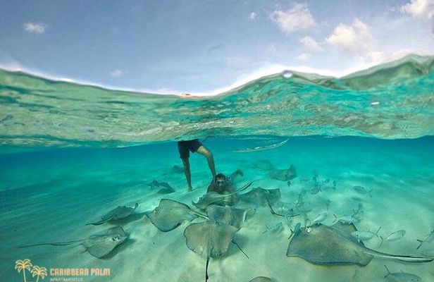 Private Tour in luxury BOAT over the sea of ​​7 colors