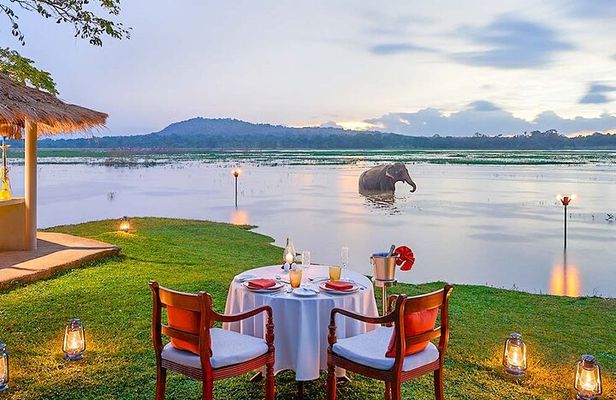 10 Days;Dream Path of Sri Lanka
