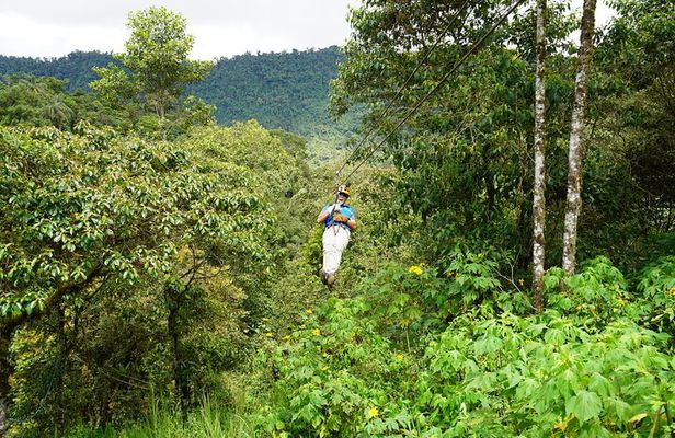 Full-Day Private Tour of Mindo Cloud Forest