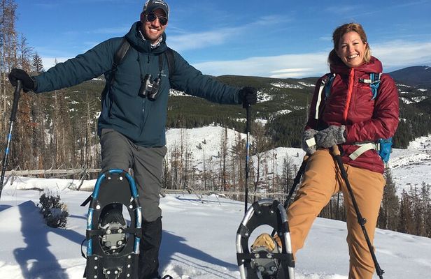 Yellowstone Snowshoe Safari from Bozeman - Private Tour