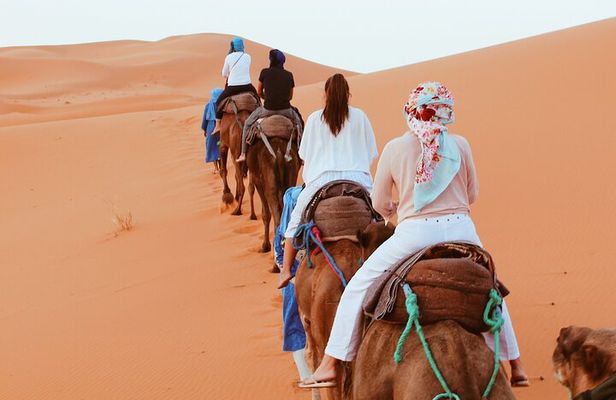Sahara Desert Family Tour