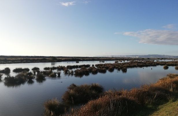 Coast to Vineyards Self-Guided Scenic Cycle Tour from Napier