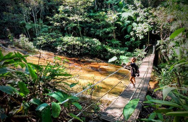 Adventure & History at Tijuca Forest (small group or private)
