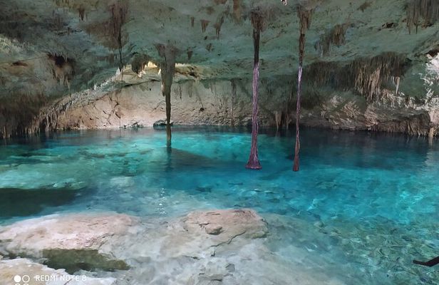 Private Cenotes tour