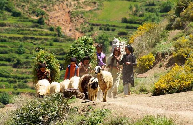 Atlas Mountains with Horse Riding and discover the berber Villages and culture