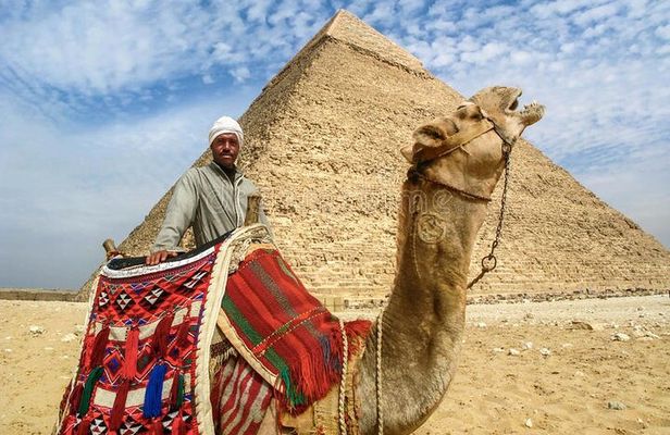 8hours Private Giza Pyramids Memphis Sakkara Lunch and Camel ride