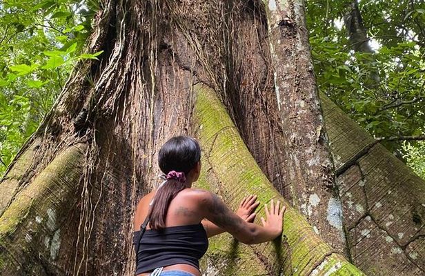 Samaná: waterfall El Limine & island Cayo Levantado