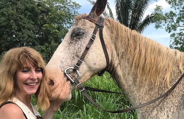 Jungle farm ride 
