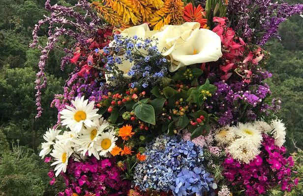 Private Silleteros (Flowers) Tour