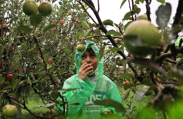 1 Day - Malang Instagramable Tour // 08:00 - 18:00