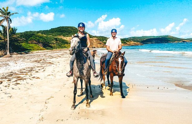 Private Beach Picnic Horseback Ride with Sandy Hoofs St. Lucia