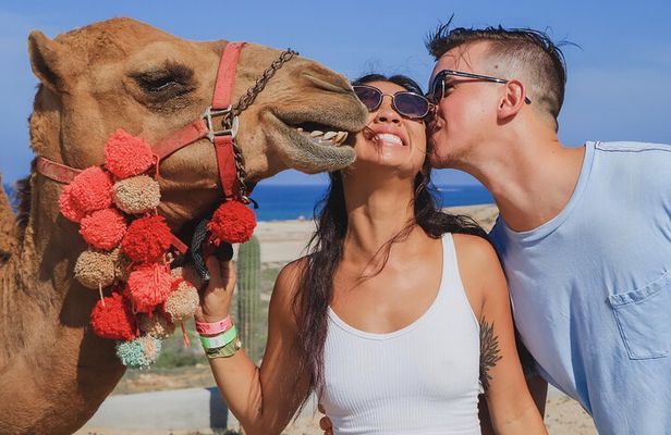 UTV Adventure + Free Camel Ride & Sky Bikes