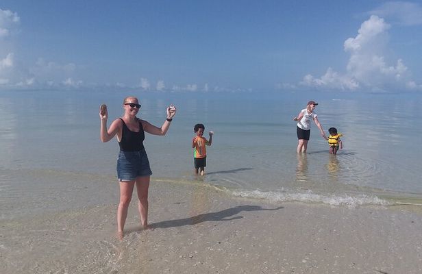 Everglades National Park Small Group Guided Boating and Walking Expedition