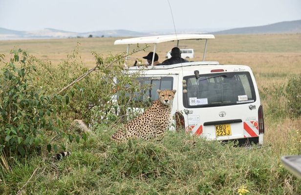 Overnight Safari to Tsavo East with Pick Up From Mombasa