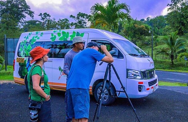 Bird Watching Near the Arenal Volcano