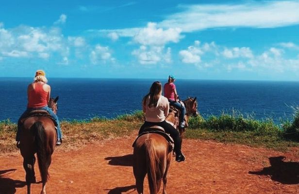Maui Horseback Adventure at Circle M Ranch With Real Cowboys
