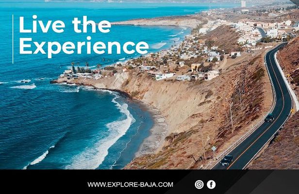 PRIVATE BAJA WINERIES EXPERIENCE (Transportation,concierge,custom schedule)