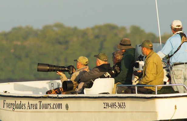 Private Everglades National Park Photography, Birding and Wildlife Safari