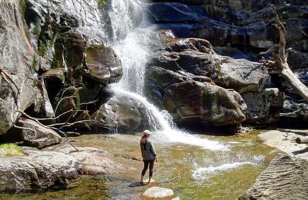 Old Growth Forest Cascade