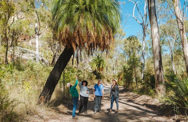 Roma: Lost World Carnarvons (Wallaroo) Day Tour