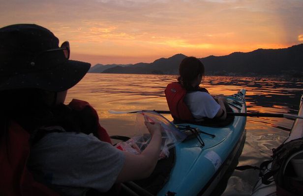 Night Kayak Tour Relax Under the Natural Glow of Sea Fireflies