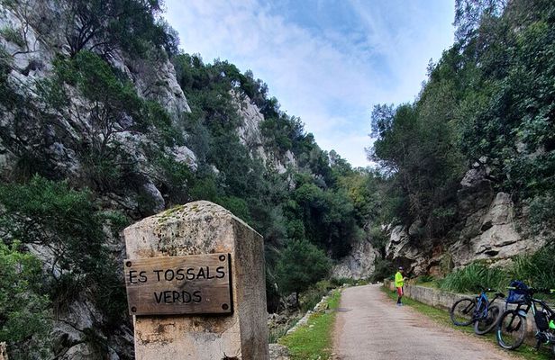Half-Day Mountain Bike Experience to Serra de Tramuntana,