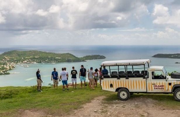 Half-Day Tour: Island Safari Adventure from St. John's