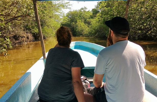 Lagoon Adventure: Jungle, Turtle Release & Cliff Diving Spectacle