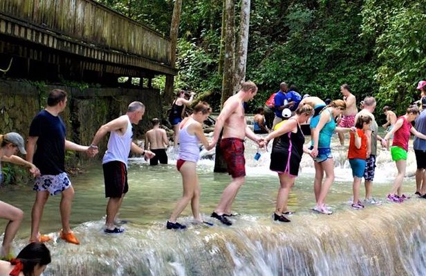 Dunn's River Falls and Luminous Lagoon Guided Tour from Grand Palladium