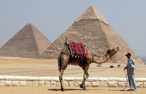 Private Day from Sharm to Cairo by plane, all entrance fees, Camel, Lunch, Guide