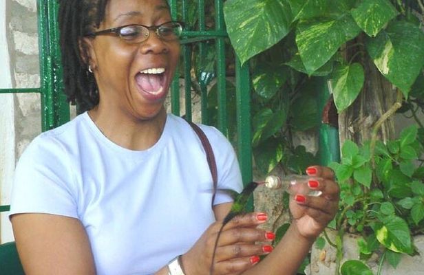 Rocklands Bird Sanctuary & City Highlights plus Shopping from Montego Bay