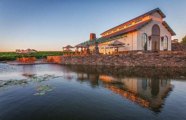 Semi-Private, Modified Hop-On Hop-Off Wine Tasting Tour from Morro and Cayucos