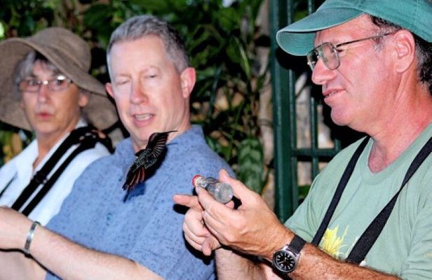 Rocklands Bird Sanctuary and Montego Bay Highlights Tour from Falmouth