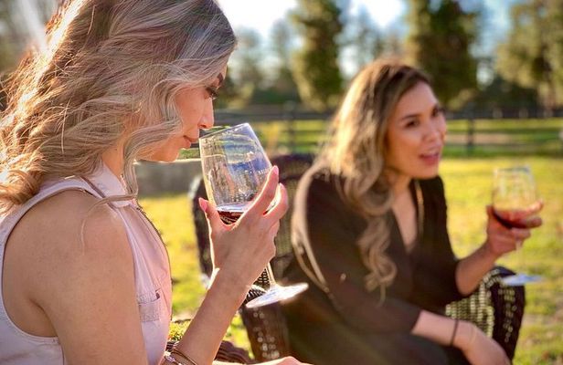 Small-Group Wine Tour in Santa Barbara to Exclusive Vineyards