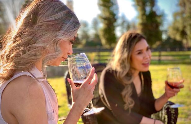 Small-Group Wine Tasting Tour of Santa Barbara Wine Country