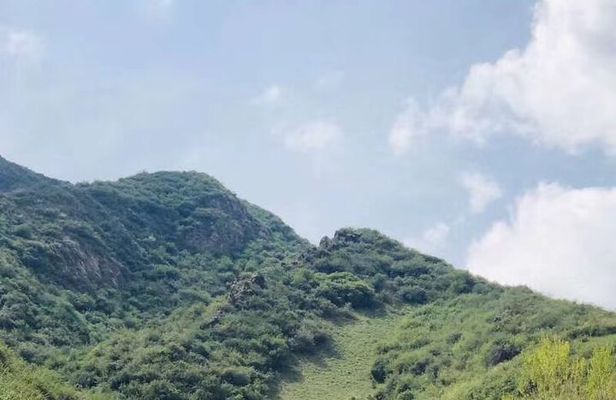 Private Day Tour to Nanshan Pasture and Tianshan Grand Canyon