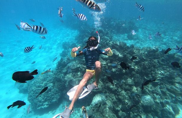 Half-Day Snorkeling Tour from Papeete