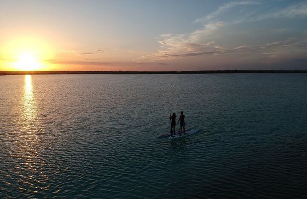 Private SUP Tour (Stand Up Paddleboard)