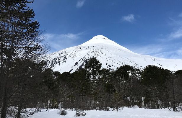 Trekking Andean Lagoons + Mapuche Cuisine