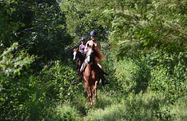 Award-winning Private Classic Horseback Ride