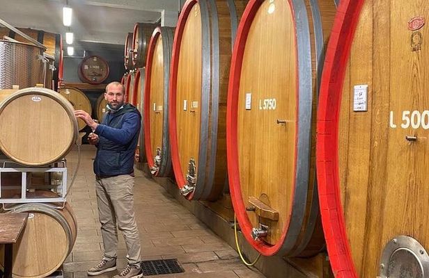 Barolo & Barbaresco Wine Experience with a Local Winemaker / Asti