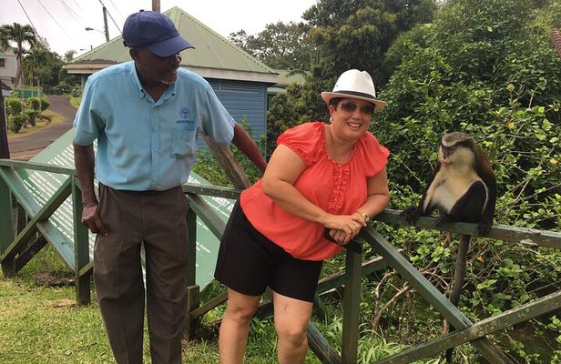 Grenada in a Nutshell- Deluxe Island Tour